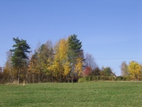 krajobraz pazdziernik 2006